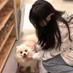 金星棋牌app下载